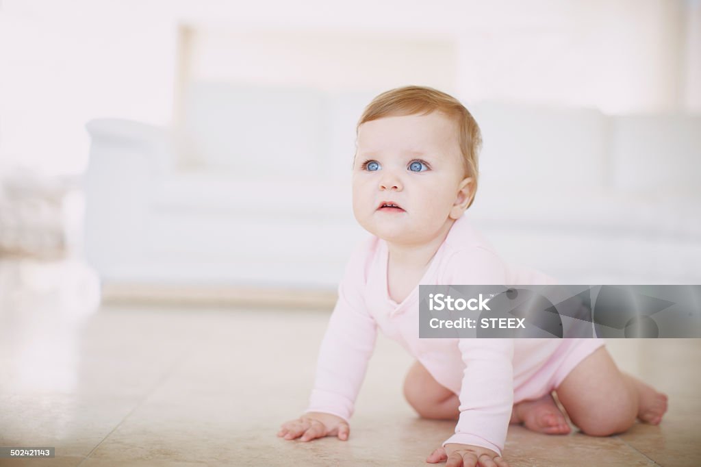 Exploring the floor- baby crawling Shot of a little baby girl crawling on the floor indoors Crawling Stock Photo