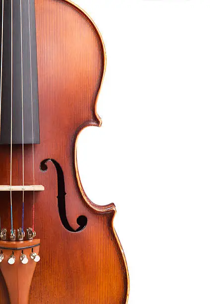 Vintage violin on white background