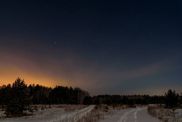 istock forest road night snow stars 502421456