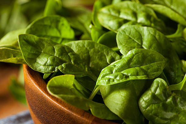 istock Raw Green Organic Baby Spinach 502422005
