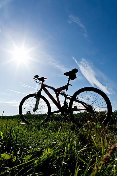 istock Mountain Bike on a green park 502422127