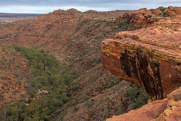 istock Kings canyon australia 502422486