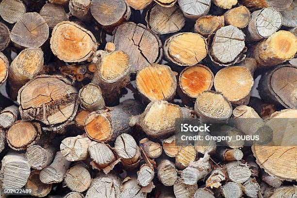 Una Gran Cantidad De Registros En Una Pila Foto de stock y más banco de imágenes de Agrietado - Agrietado, Anillo de árbol, Con textura