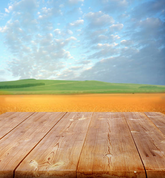 istock agriculture background with wooden planks 502423057