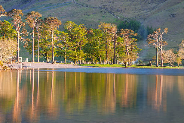 istock Reflection on the Buttermere Lake 502424368