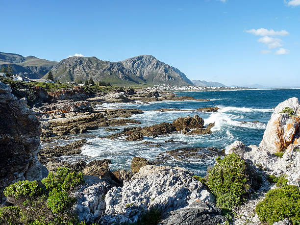 coastline at Fernkloof nature reserve coastline at Fernkloof nature reserve in South Africa hermanus stock pictures, royalty-free photos & images