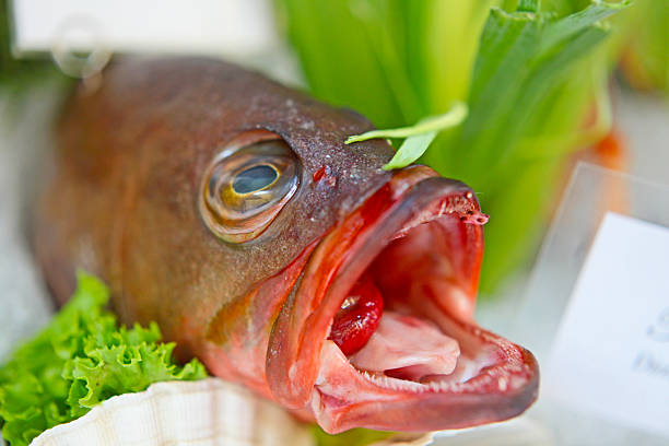 Seafood on ice at the fish market