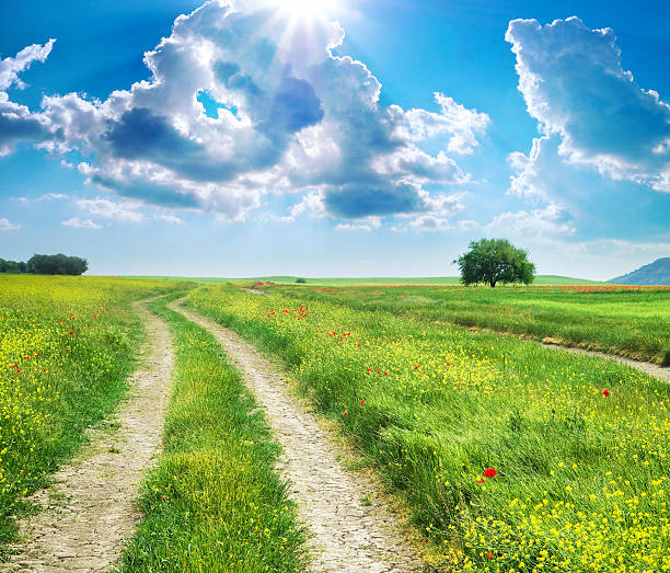 a dirt road stretching into eternity under blue cloudy skies and flowers. nature concept wallpaper