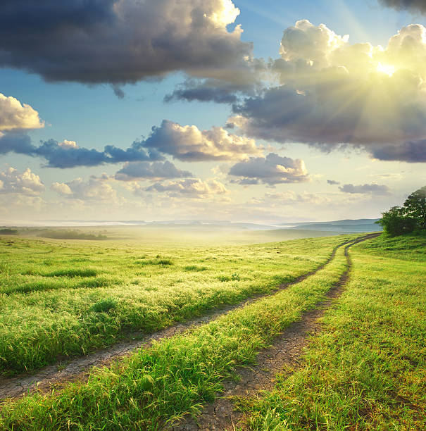 road lane e profonda cielo del mattino. - meadow grass nature forest foto e immagini stock