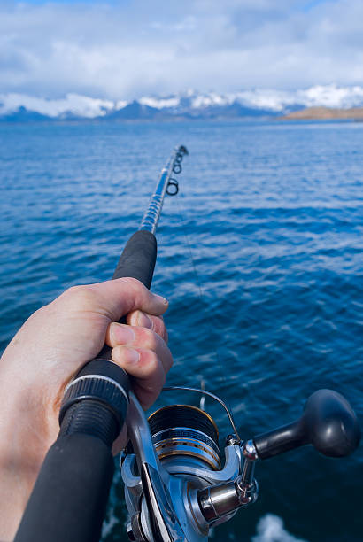 istock Spinning in hand fisherman 502445494