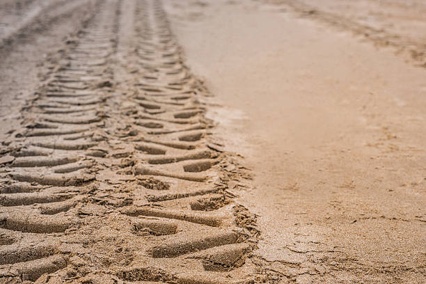 istock Closeup 4wd tyre track on the beach 502445600