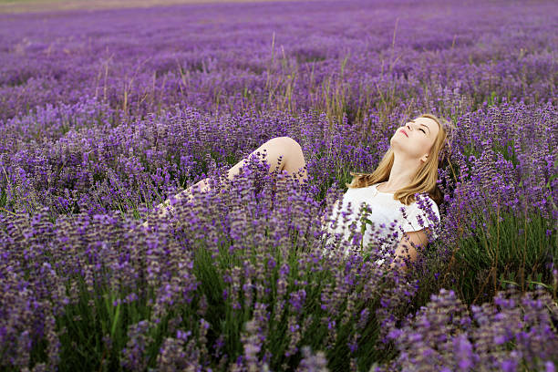Adorable girl in fairy field of lavender stock photo