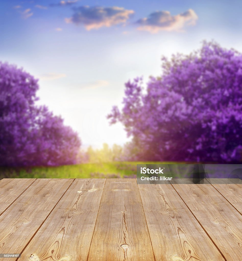 spring background with wooden planks Abstract Stock Photo