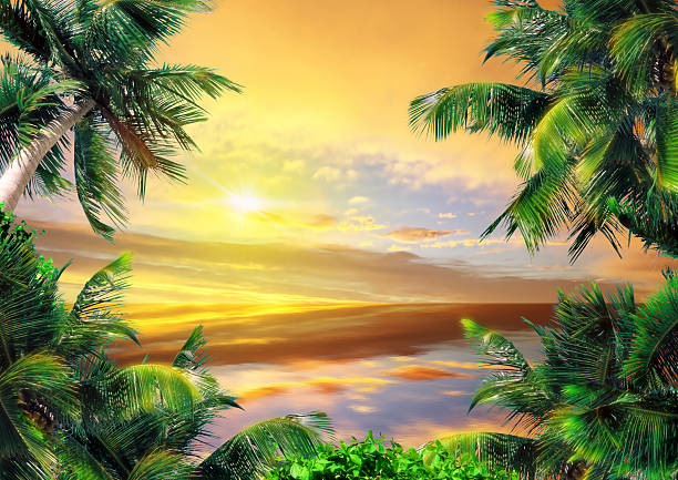 istock Magical coast in the evening 502448257