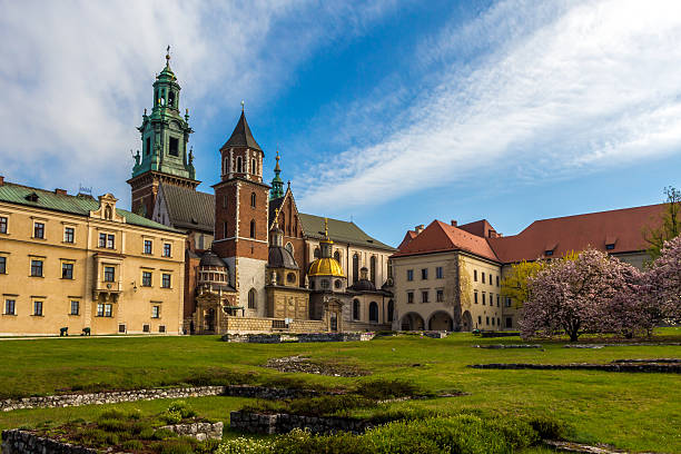 istock Wawel Cathedral in Krakow - Poland 502449016