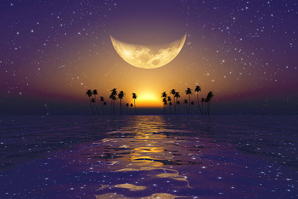 big yellow moon over purple sunset big yellow moon over purple sunset at tropical sea with stars fantasy moonlight beach stock pictures, royalty-free photos & images
