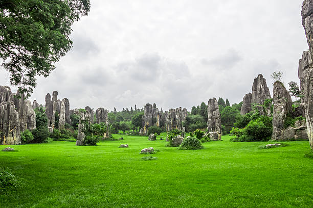 istock Chinese Yunnan Kunming Stone Forest Scenery 502450933