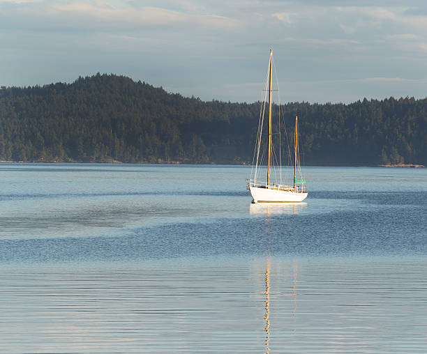 istock Sailboat Docked in the Water 502451445