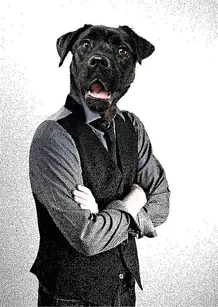Vector illustration of Man With Dog Head
