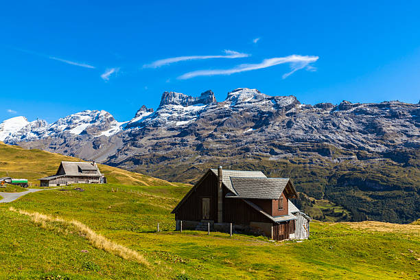 Stunning view of Titlis and Wendestock in alpen village Stunning view of the mountain range of Titlis and Wendestock, the summit of the range north of the Susten Pass, between the Bernese Oberland and Central Switzerland. engelberg photos stock pictures, royalty-free photos & images