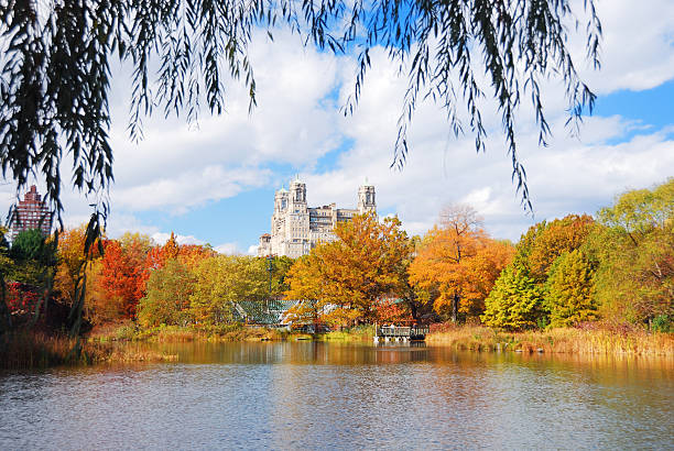 istock New York City Manhattan Central Park 502452593