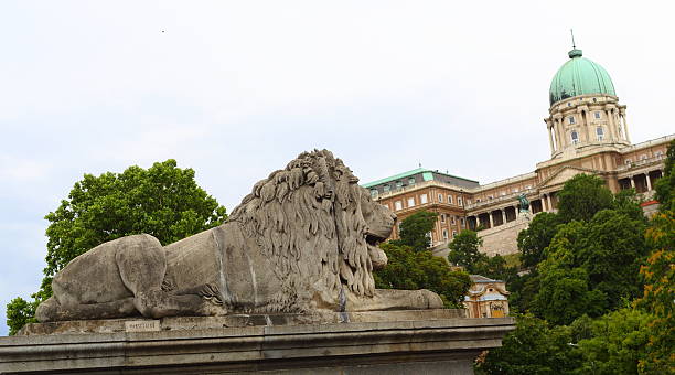 istock Royal Palace of Buda, Budapest 502453657