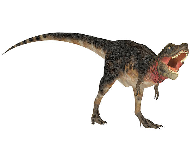 istock Illustration of a Tarbosaurus 502454287