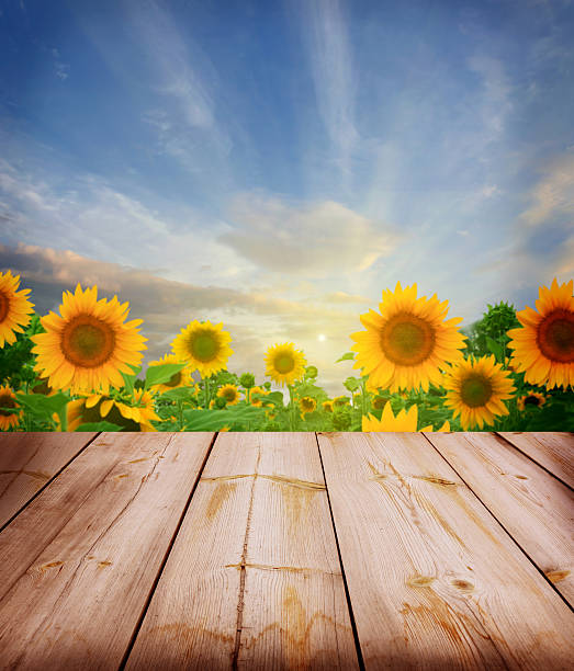 istock agriculture background with wooden planks 502454299
