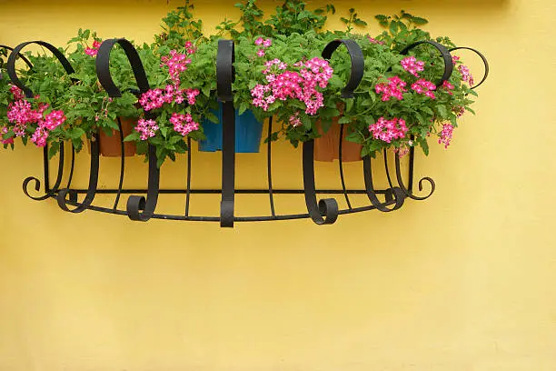 Hanging Basket of Flower on Wall
