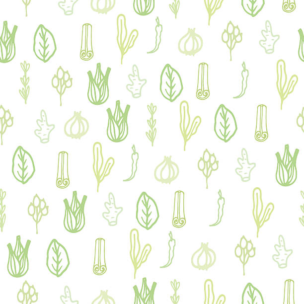 illustrations, cliparts, dessins animés et icônes de herbes et épices de doodle dessinés à la main motif - anise seed fennel backgrounds