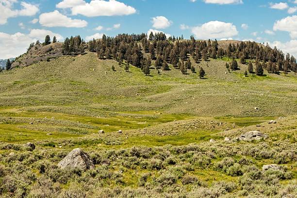istock Lamar Valley, Yellowstone N.P. 502456490
