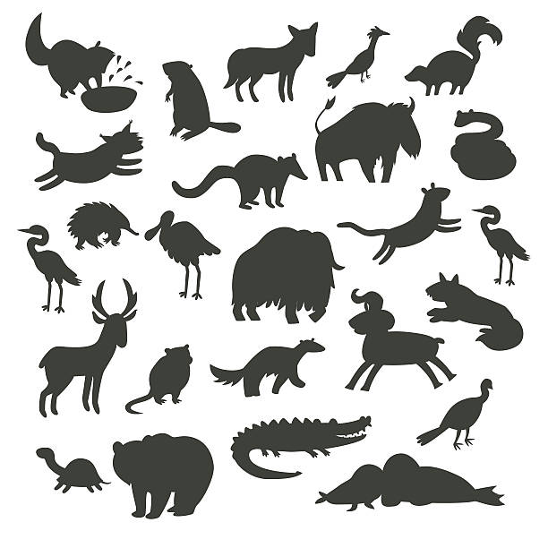 istock North America animals silhouettes, isolated on white background vector illustration 502458396