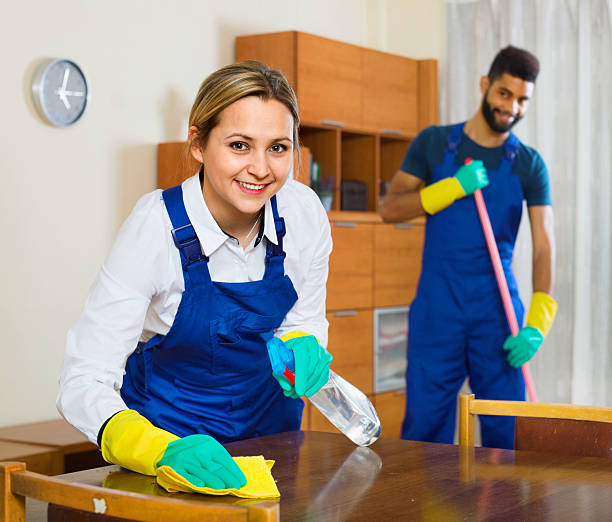 istock Smiling young cleaners cleaning and dusting 502459136