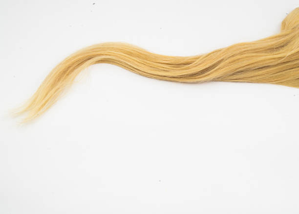 extension de cheveux blond image d'arrière-plan - human hair curled up hair extension isolated photos et images de collection