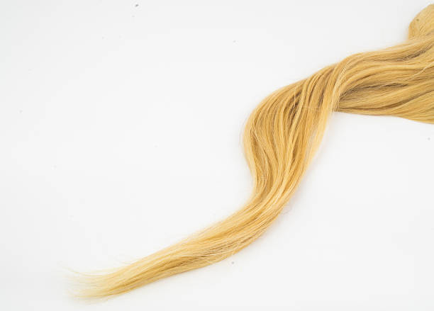 extension de cheveux blond image d'arrière-plan - human hair curled up hair extension isolated photos et images de collection