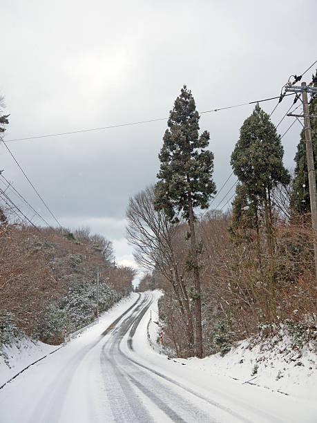 Snow road in winter forest Tall japanese cedar cryptomeria japonica trees and road turn in the winter forest in Japan cryptomeria stock pictures, royalty-free photos & images