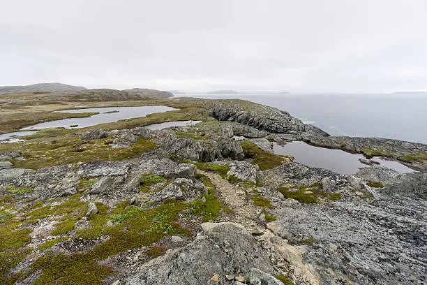 Photo of Newfoundland Rugged Coastline of Quirpon Island