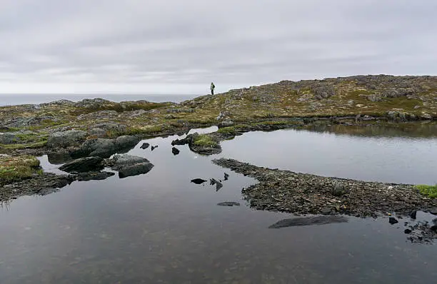 Photo of Newfoundland Solitude on Quirpon Island