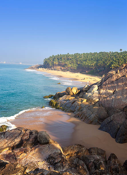 The seashore with stones and palm trees. India. Kerala stock photo