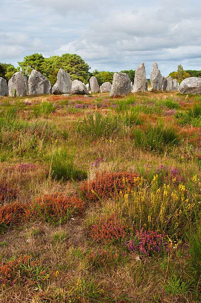 carnac megalithic камнями, бретань, франция - archeologie стоковые фото и изображения