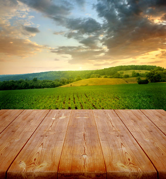 istock agriculture background with wooden planks 502473409