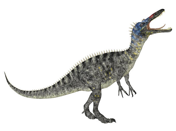 istock Illustration of a Suchomimus 502475551
