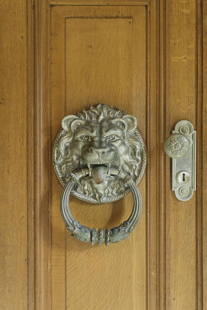 istock Gold lion door 502477667