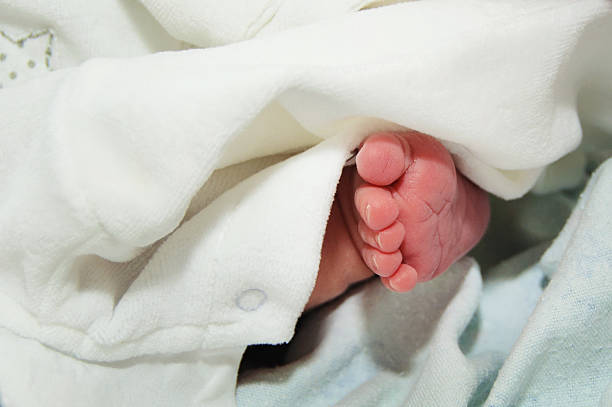 istock Legs of the baby 502478347