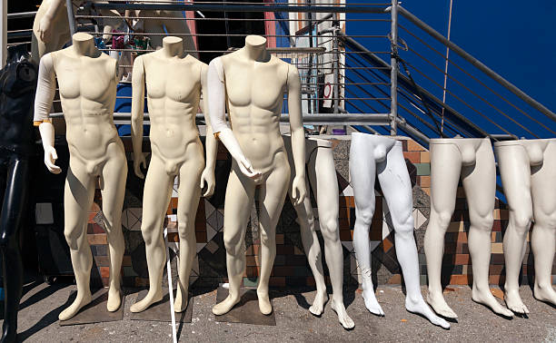 istock Torsos and More So 502478991