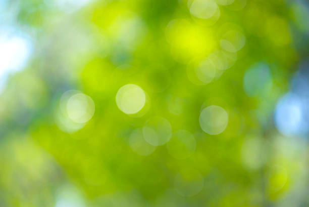 istock Blurry green nature for background 502487620