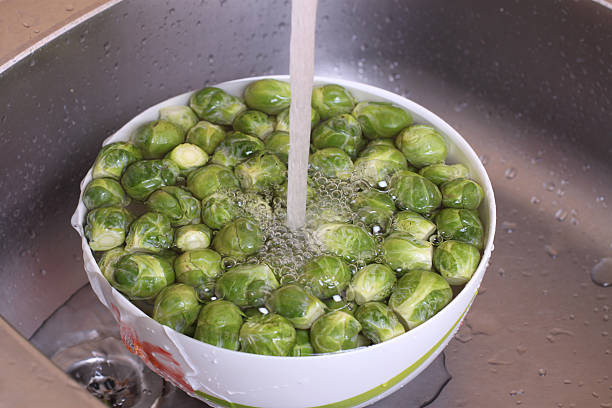 raw Brussels sprouts, ingredients food