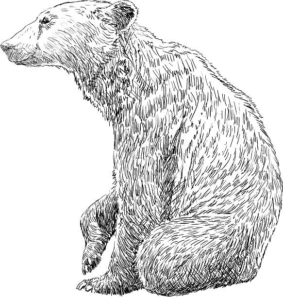 ilustraciones, imágenes clip art, dibujos animados e iconos de stock de de la mano con el dibujo bear - winter bear