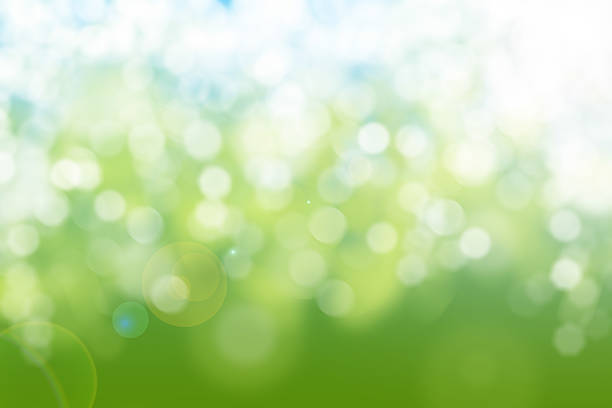 istock Blurred bokeh of natural colours. 502491556