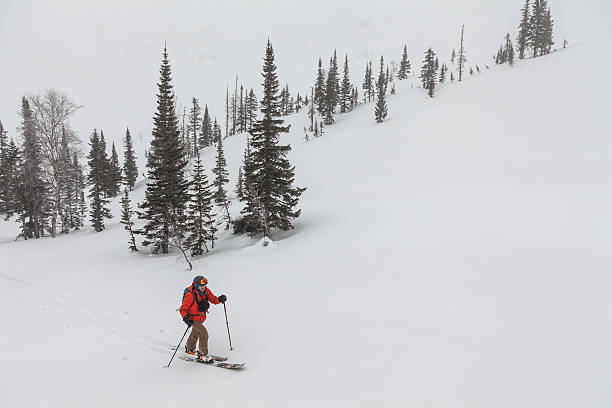 istock Man skiing in the mountains 502495140